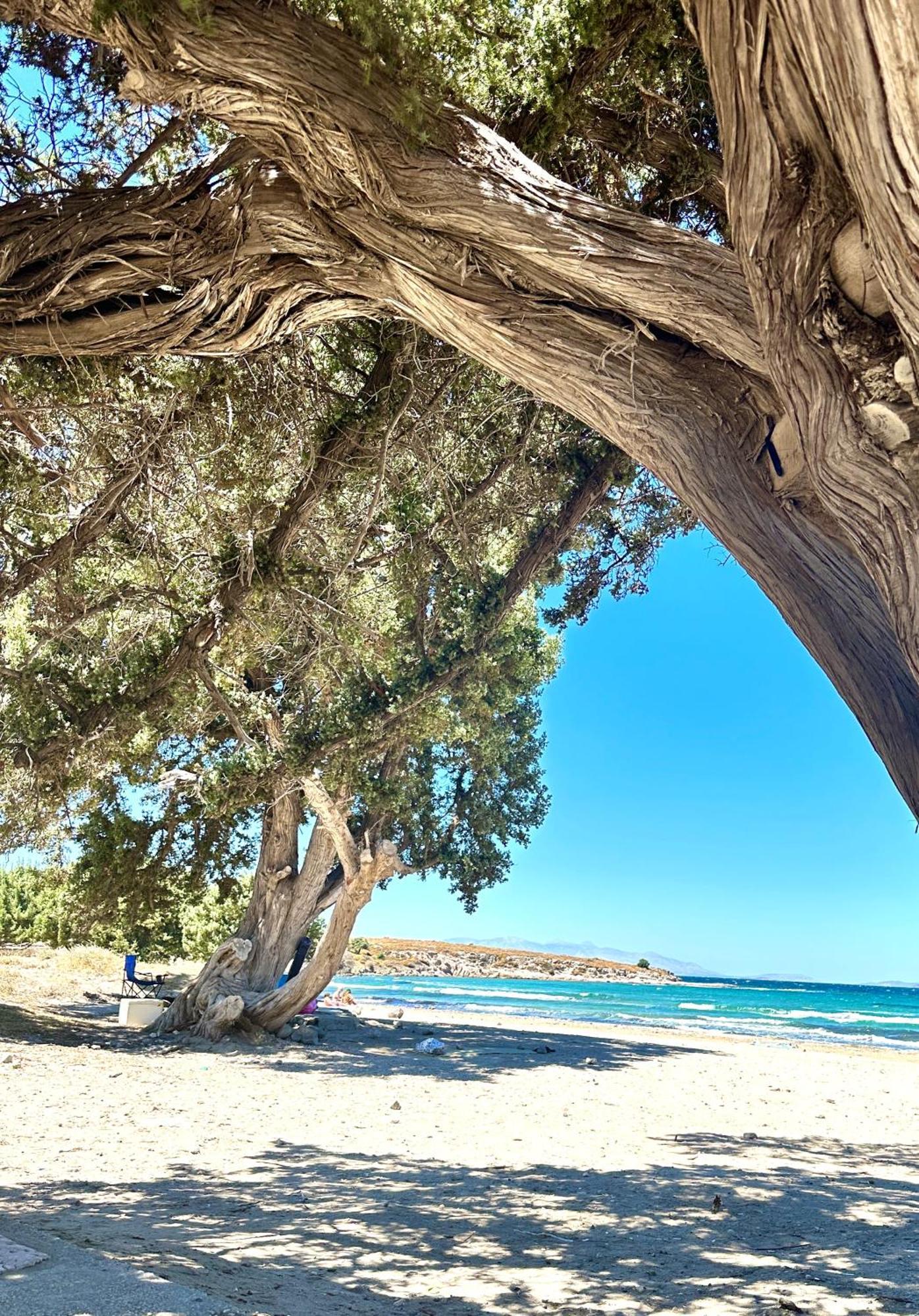 Çeşme 玛丽莎精品住宿加早餐旅馆酒店 外观 照片